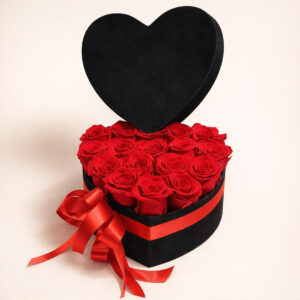 I love you- srce box AI 1