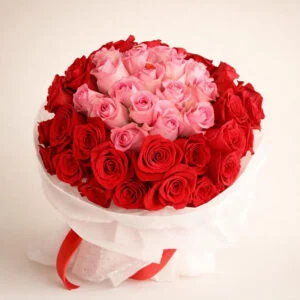 Amor AI 1