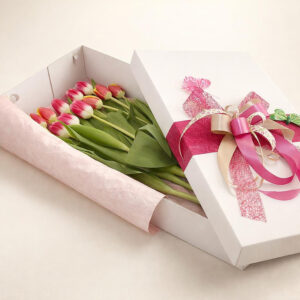 Tulipani AI 1