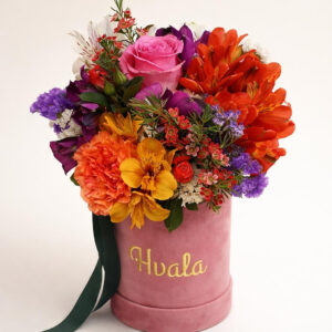 Flower box-Hvala! baršun 1